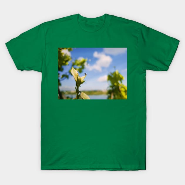 beetle looking at horizon T-Shirt by psychoshadow